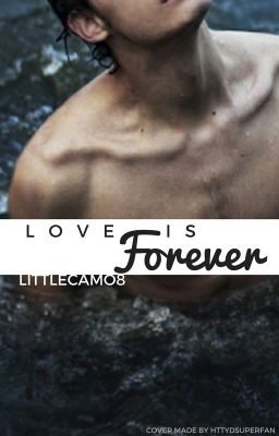 Love Is Forever (Hiccup x reader one-shots)