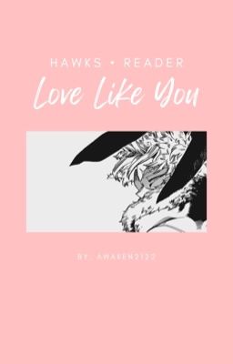 Love Like You | Hawks X Reader