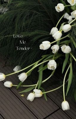 Love me Tender [ Ninh Dương story ] 