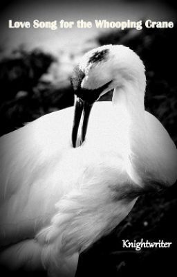 Love Song For The Whooping Crane