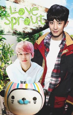 Love Sprout {ChanBaek | BaekYeol}