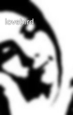 lovebird