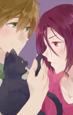 Lover or Player (Makoto X Rin)