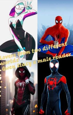 Lovers from two different worlds (Gwen Stacy x male reader)