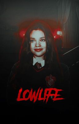 ✦:: lowlife❜ ʰᵃʳʳʸ ᵖᵒᵗᵗᵉʳ