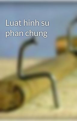 Luat hinh su phan chung