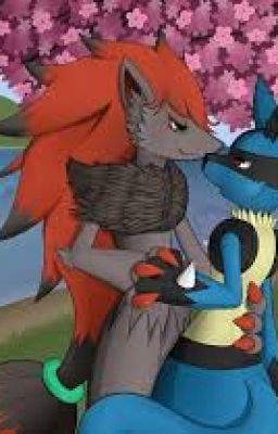 Lucario x Zoroark(TERMINADA)