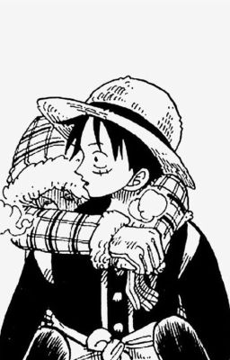 [Luffy-Nami || OP Fanfiction] Tin tưởng.