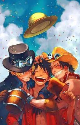 / luffy's harem / đóa hoa nở muộn 