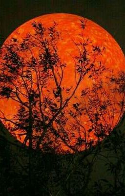 LUNA DE SANGRE