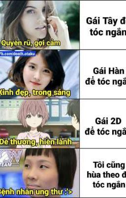 *LƯỢM* (TỔNG HỢP)