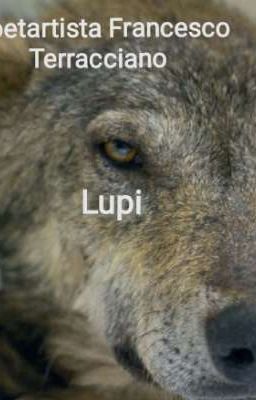 Lupi