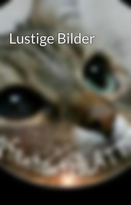 Lustige Bilder