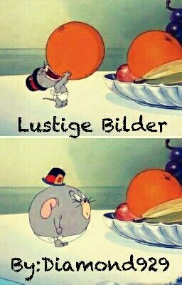 Lustige Bilder