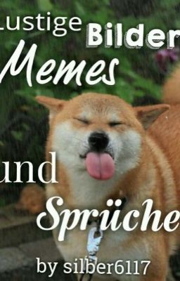 Lustige Bilder, Memes und Sprüche 😂 ✔️