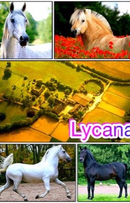 Lycana