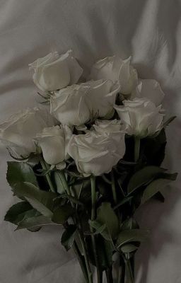 [ lyquinn ] vợ là phải sủng