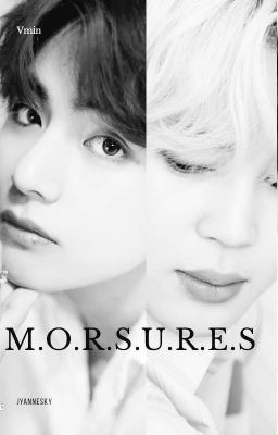 °•°-M.O.R.S.U.R.E.S-°•°   {V.M.I.N.}