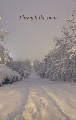 MA&BB&JB: Through the snow