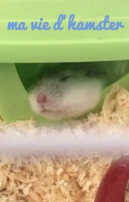 Ma vie d'hamster 