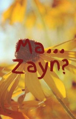 Ma... Zayn?