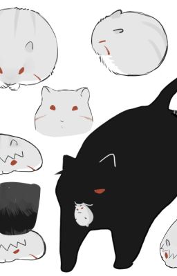 [Madatobi] Trở quẻ