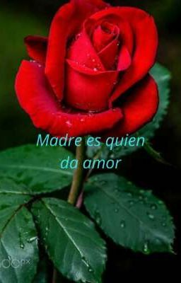 Madre es quien da amor