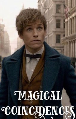 Magical Coincidences (Newt Scamander x Reader)