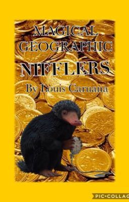 Magical Geographic : NIFFLERS