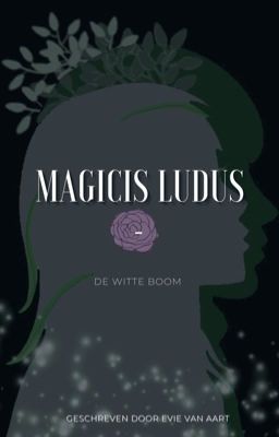 magicis ludus