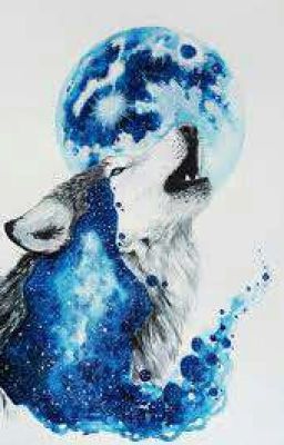 Magix High