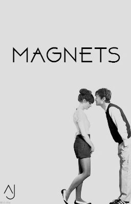 Magnets (On Hold) 