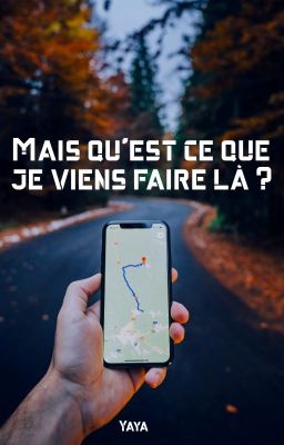 Mais qu'est ce que je viens faire là ?