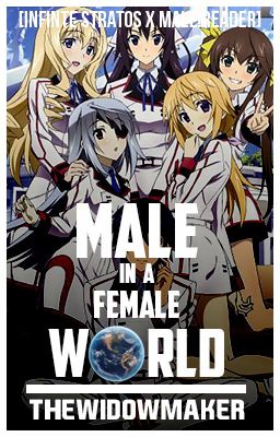 Male In a Female World [Male!Reader x Infinite Stratos]