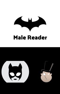 Male Reader Batman 2: The Cat & The Penguin 