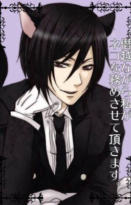 Male!Reader!Neko x Sebastian Michaelis