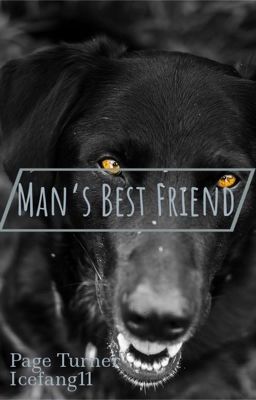 Man's Best Friend