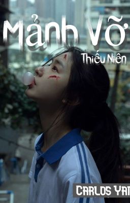 Mảnh Vỡ Thiếu Niên