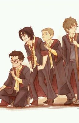 ||Marauders||