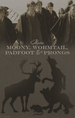 Marauders Era Roleplay