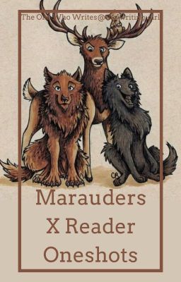 Marauders X Reader Oneshots