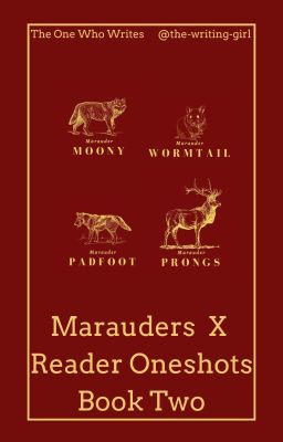 Marauders X Reader Oneshots Book Two