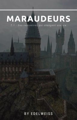 Maraudeurs | T.1 - Des rencontres qui changent une vie | Harry Potter