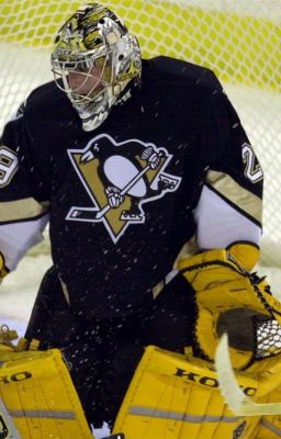 Marc-Andre Fleury fanfiction