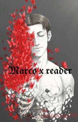 Marco x reader