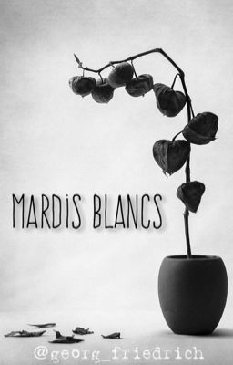 Mardis blancs