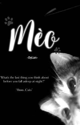 [marhoon] mèo 🐾