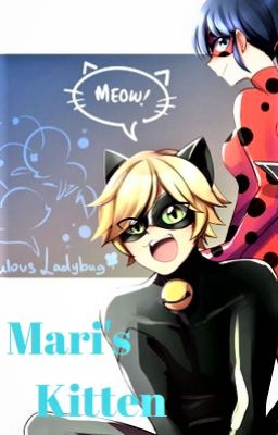 Mari's kitten