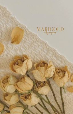 MARIGOLD | JHS ✓