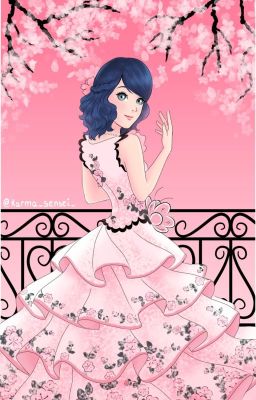 Marinette, La Princesa De Los Sueños